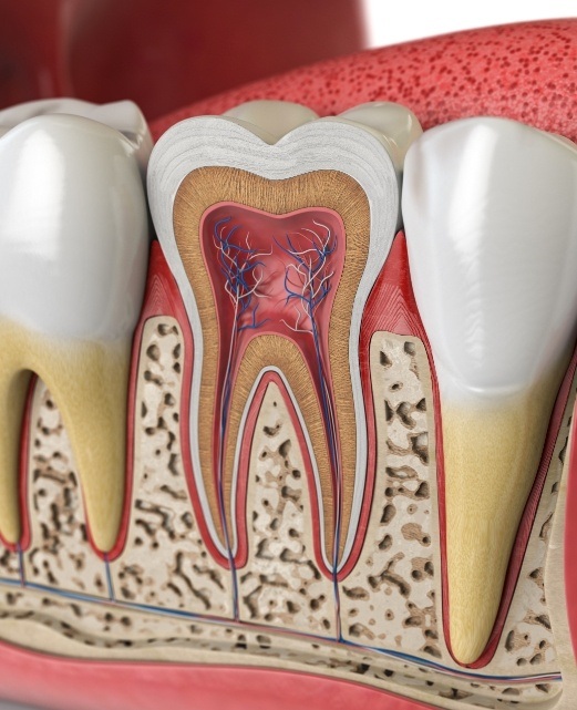 Animated tooth cut in half to reveal the interior and root canal